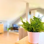 Fewo Sulzer Siedlung * 埃尔福特