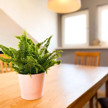 Fewo Sulzer Siedlung 埃尔福特