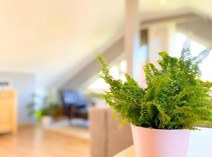 Fewo Sulzer Siedlung * 埃尔福特