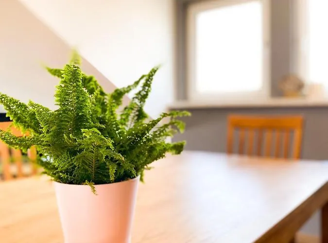 Fewo Sulzer Siedlung Erfurt