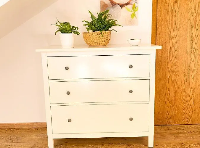 Fewo Sulzer Siedlung * Erfurt